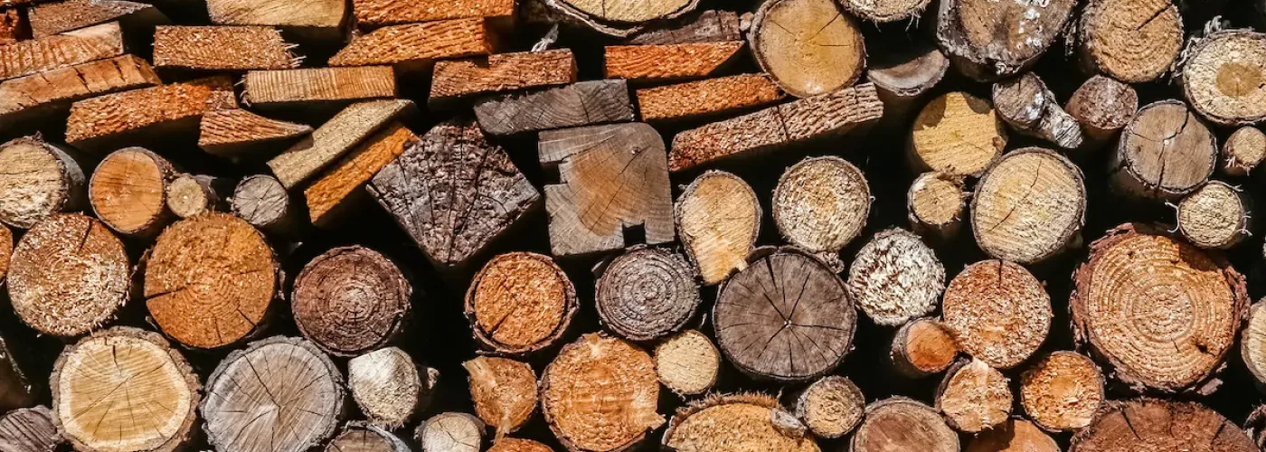 Houtbouw 2.0: De Opkomst van Biobased Architectuur