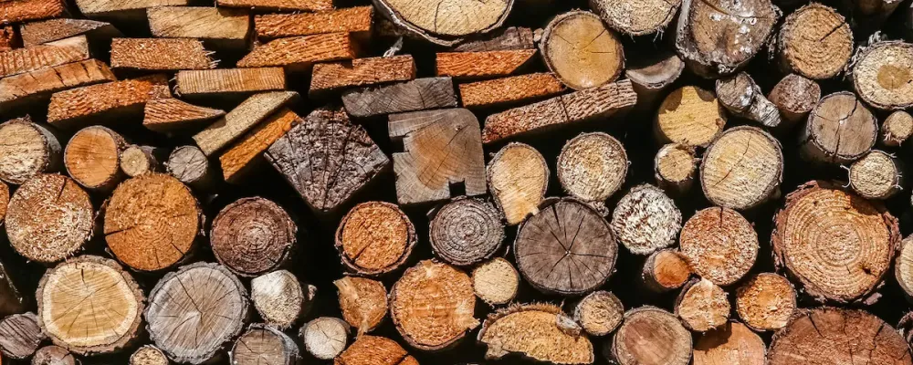 Houtbouw 2.0: De Opkomst van Biobased Architectuur